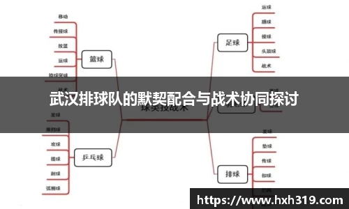 武汉排球队的默契配合与战术协同探讨